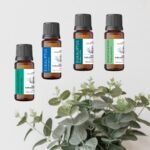 Olejki eukaliptusowe – rodzaje i właściwości