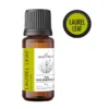 Olejek z liści laurowych Laurus nobilis 15 ml aromatherapyoils
