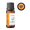 Olejek z nasion marchwi Daucus carota AromatherapyOils