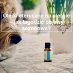 olejek eukaliptusowy i lawendowy na alergie – aromaterapia w domu