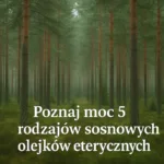 Olejki eteryczne z sosny – różne gatunki sosen stosowane w aromaterapii