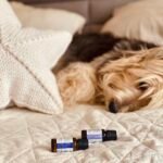 Olejki eteryczne na sen – lista 10 najlepszych zapachów wspierających relaks i zasypianie