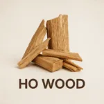 drzewo Ho Wood Cinnamomum camphora – źródło olejku eterycznego