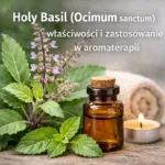 Tulsi (Holy Basil) – właściwości i działanie | AromatherapyOils