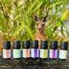 Zestaw australijskich olejków eterycznych AromatherapyOils – 7 olejków z Australii