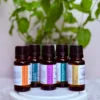 Zestaw Startowy 5 AromatherapyOils – relaks, energia i harmonia, pięć olejków eterycznych 15 ml